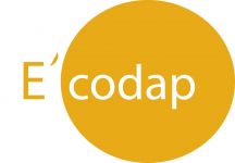 Logo of E-Codap - Modules de formation